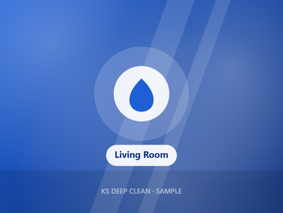 Living Room Deep Clean